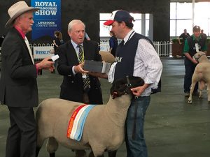 Gavin Wall, Chariman RASV Sheep Committee and Stephen Spargo, President RASV and the Interbreed Champion Ram - Lot 4 in Annual Sale.