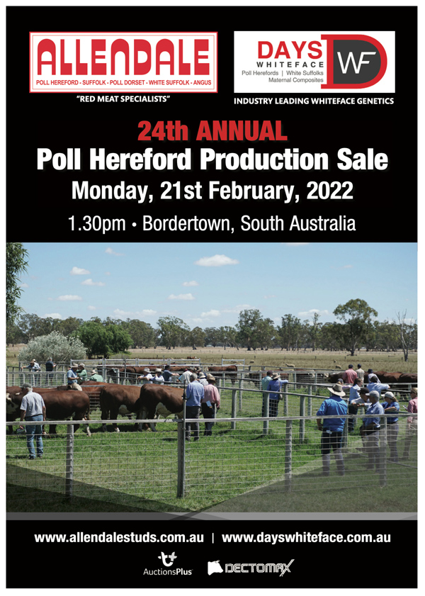 Hereford-Sale-Catalogue