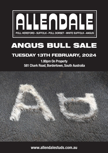 Allendale-Angus-Sale-Catalogue-2024-1